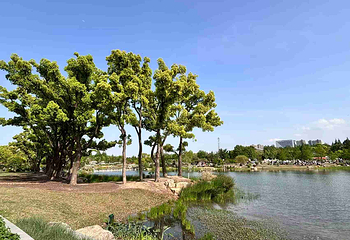 上海植物园第 3 张图片