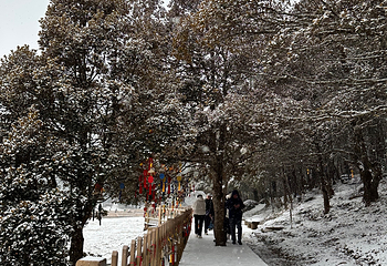 玉龙雪山第 270 张图片