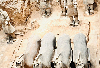 秦始皇帝陵博物院(兵马俑)第 431 张图片