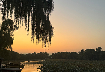 西湖风景名胜区第 389 张图片