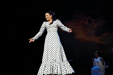 塞维利亚Teatro Flamenco Sevilla弗拉明戈剧院第 24 张图片