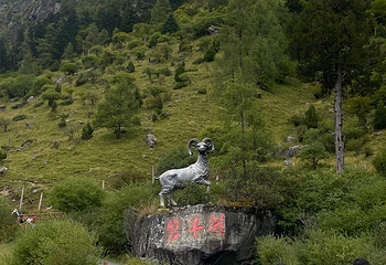毕棚沟第 211 张图片