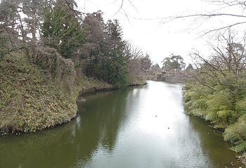 黑川城第 65 张图片