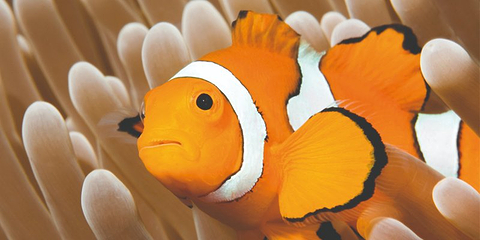 伯恩茅斯水族馆第 5 张图片
