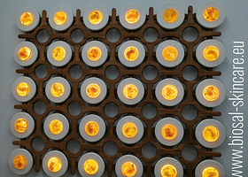 杜塞尔多夫艺术学院