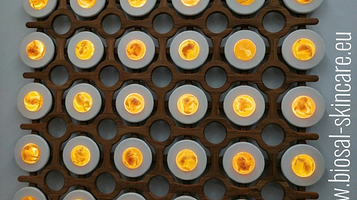 杜塞尔多夫艺术学院