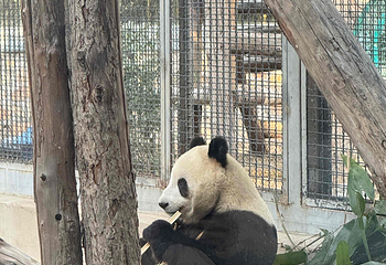 北京动物园第 58 张图片