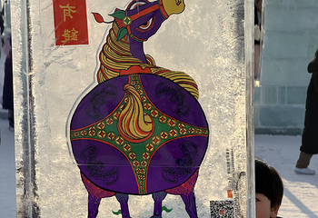 哈尔滨冰雪大世界第 997 张图片