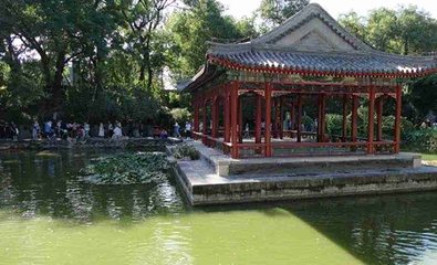 恭王府第 245 张图片