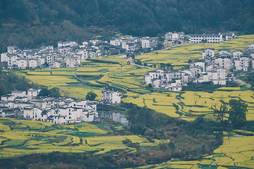 江岭景区第 57 张图片