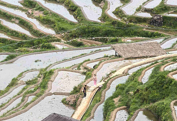 云和梯田景区第 82 张图片