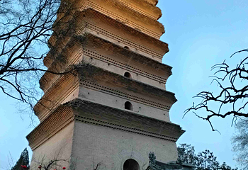 小雁塔遗址公园第 74 张图片
