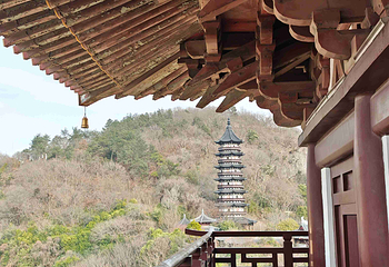 牛首山文化旅游区第 508 张图片