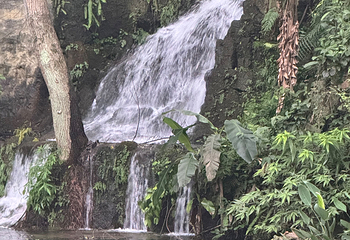 黄果树景区第 162 张图片