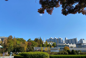 梨花女子大学第 54 张图片