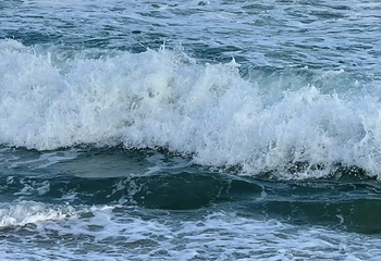 海棠湾第 121 张图片
