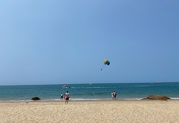 天涯海角第 204 张图片