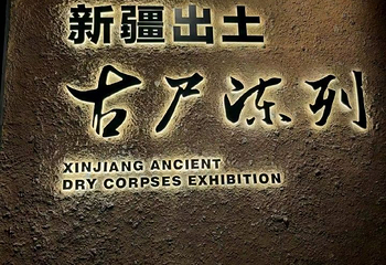 新疆维吾尔自治区博物馆第 55 张图片