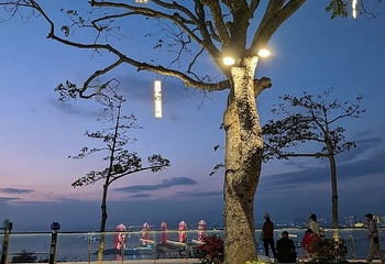 鹿回头风景区第 231 张图片