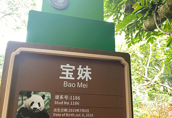 成都大熊猫繁育研究基地第 476 张图片