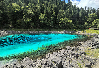九寨沟风景区第 207 张图片