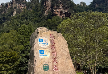 张家界国家森林公园第 205 张图片