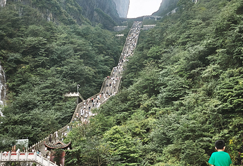 天门山国家森林公园第 578 张图片