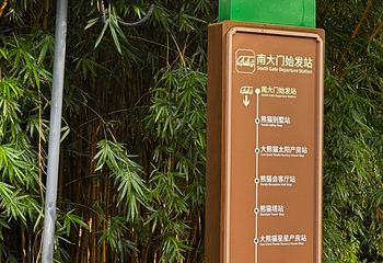 成都大熊猫繁育研究基地第 100 张图片