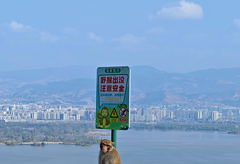 泸山第 20 张图片