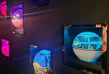 银座艺术水族馆美术馆第 30 张图片