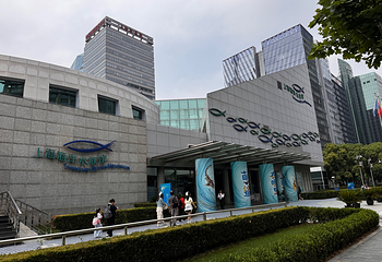 上海海洋水族馆第 60 张图片