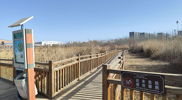 秦王川国家湿地公园2期