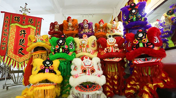 许楚文龙狮武术馆