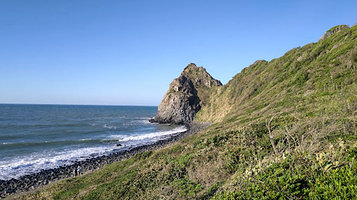 Itoshima's Totoro Forest