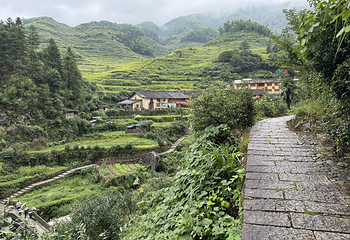 云和梯田景区第 85 张图片