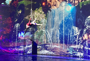济州岛Aqua Planet水族馆第 53 张图片