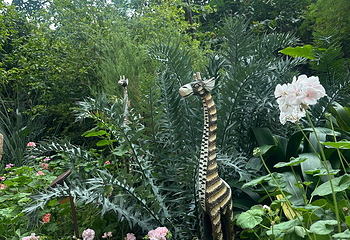 新加坡滨海湾花园第 418 张图片