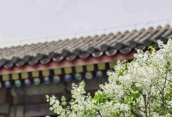 恭王府第 92 张图片