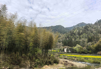 新安江山水画廊第 46 张图片