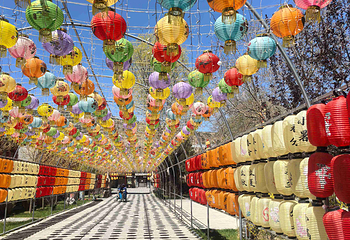 互助土族故土园第 26 张图片