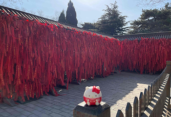 隆兴寺第 82 张图片