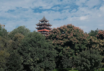 塔子山公园第 10 张图片