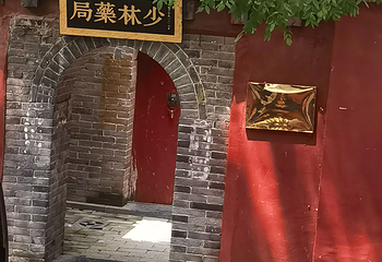 嵩山少林景区第 154 张图片