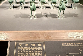 甘肃省博物馆第 53 张图片