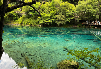 九寨沟风景区第 408 张图片