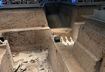 秦始皇帝陵博物院(兵马俑)第 622 张图片
