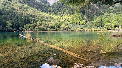 九寨沟风景区第 548 张图片