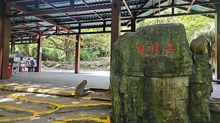 南湾猴岛猴岛公园-观猴亭第 1 张图片