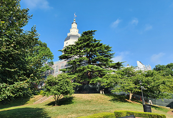 马里兰州议会大厦第 3 张图片