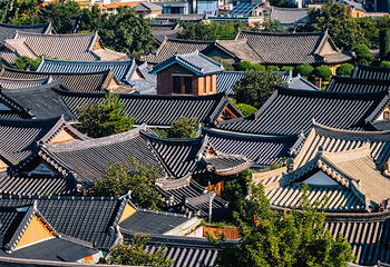 梧木台第 8 张图片